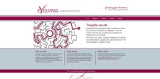 Evolving Business Solutions