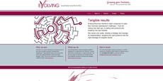 Evolving Business Solutions